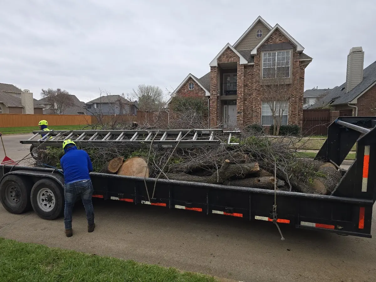 Expert Tree Fertilization with proper safety equipment in Bosque
